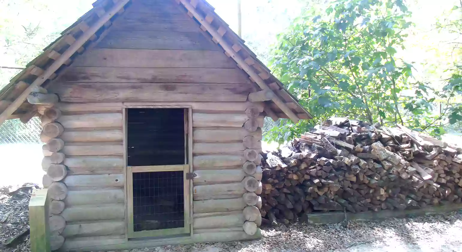 Common Log Home Mistakes & How to Avoid Them