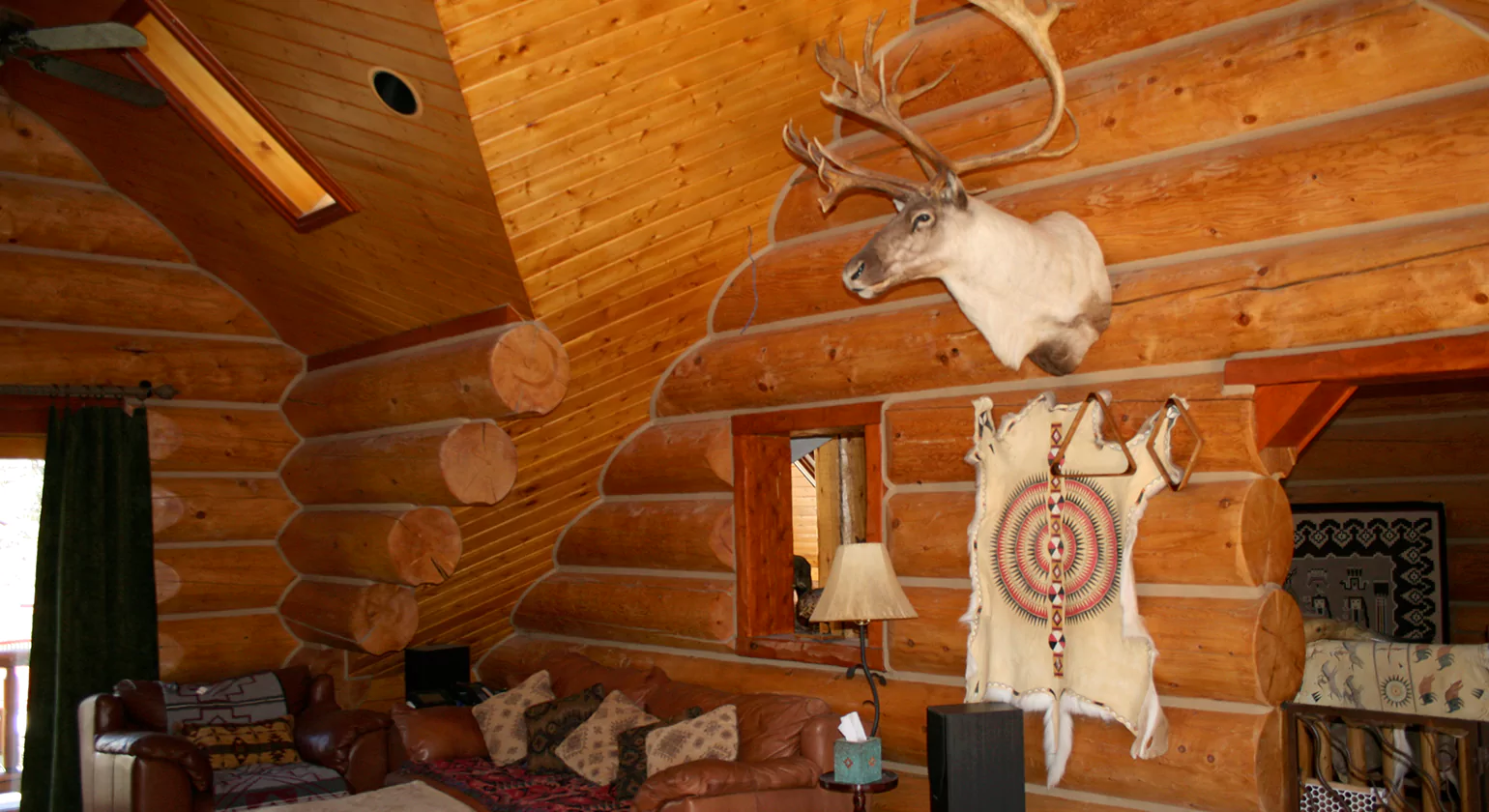 Best Materials for Half Log Siding in 2025