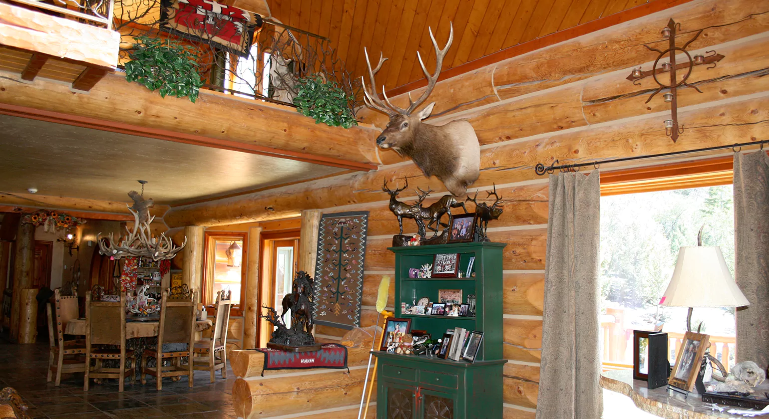 Best Wood Options for Interior Log Siding