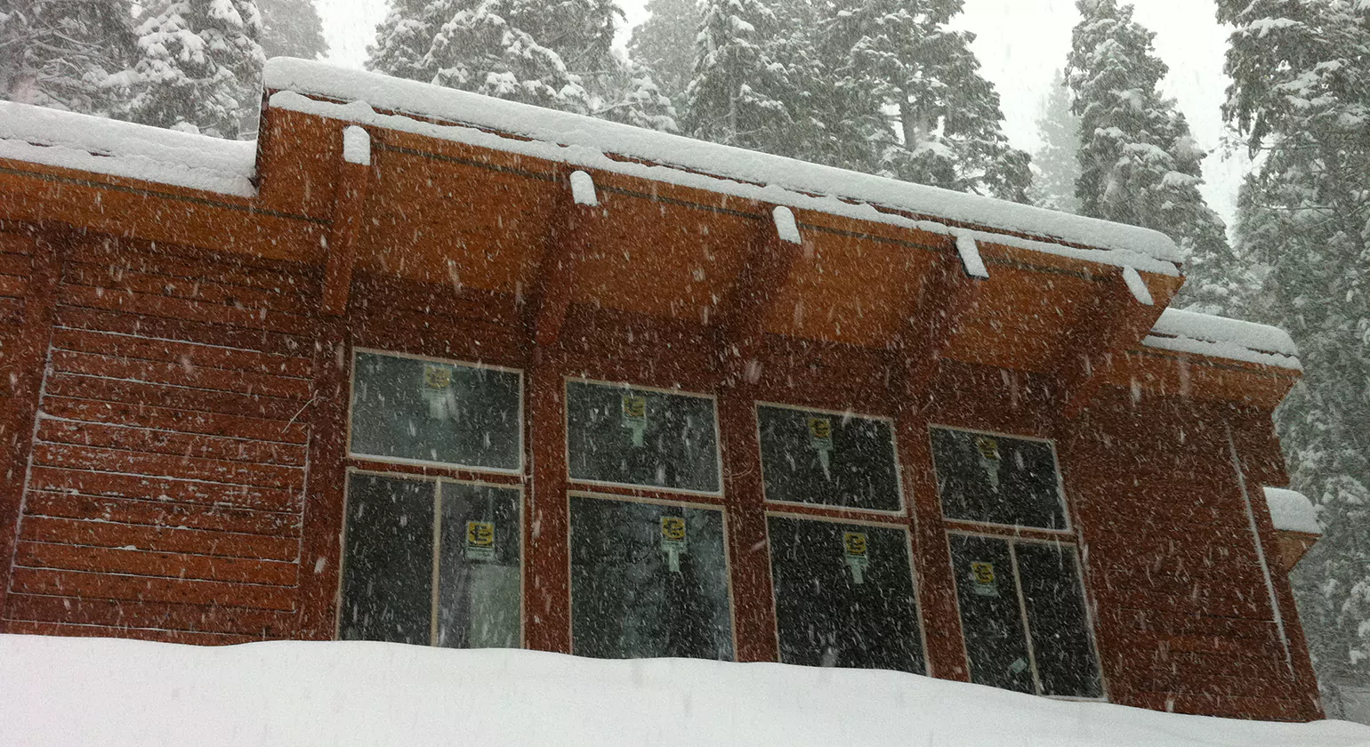 Log Cabin Porch Styles for Every Season