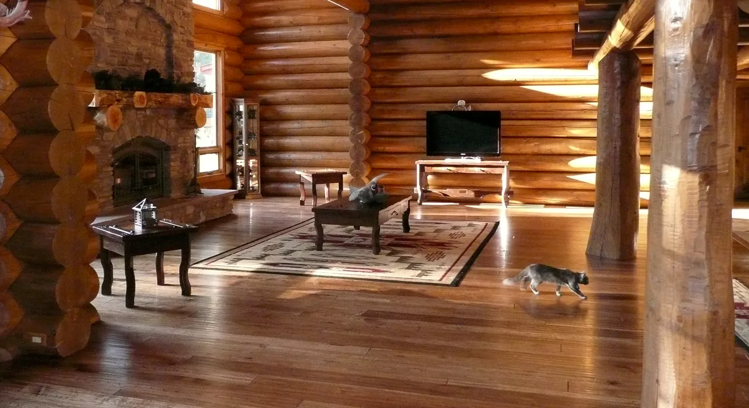 Trends in Log Cabin Porch Designs for 2025