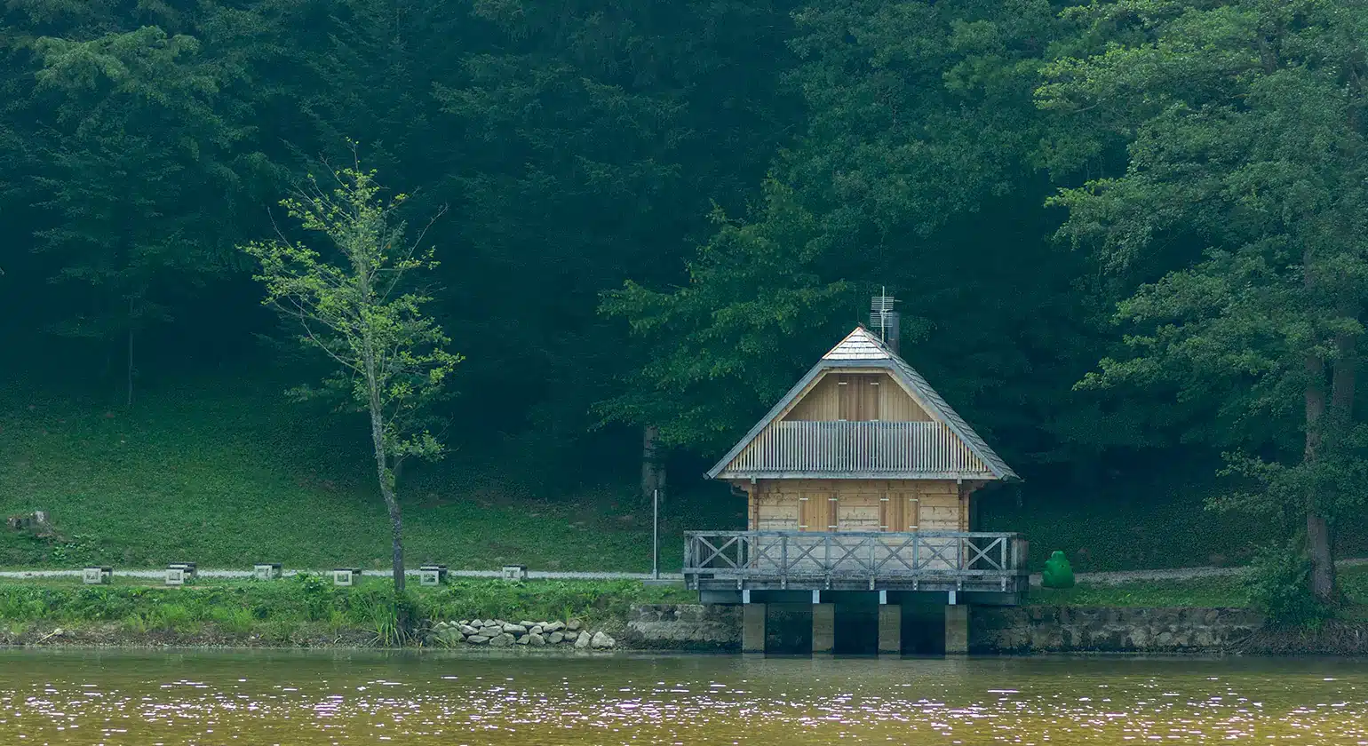 Year Round Use and Weather Resistance