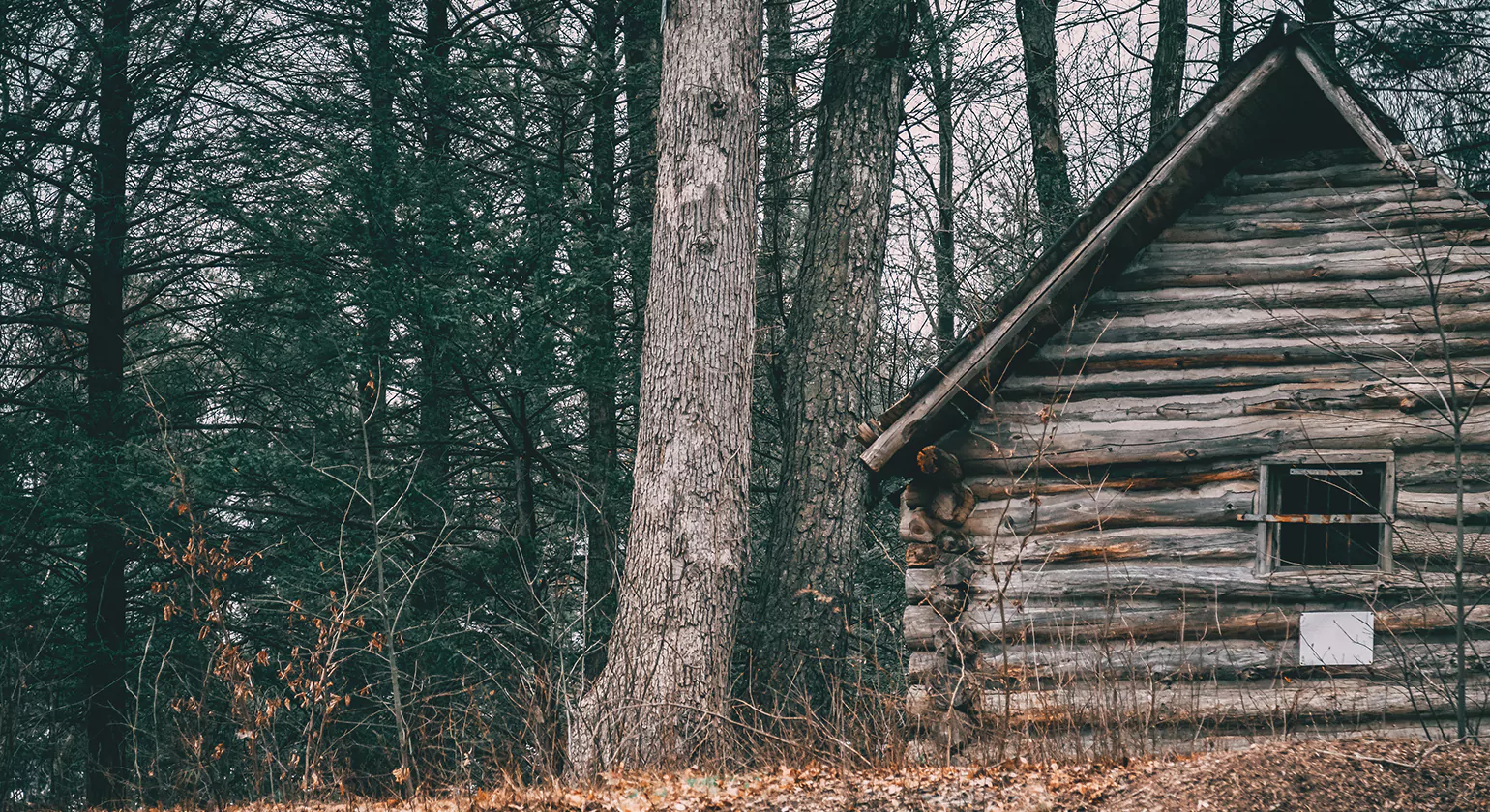 Historic Log Cabins in Early America