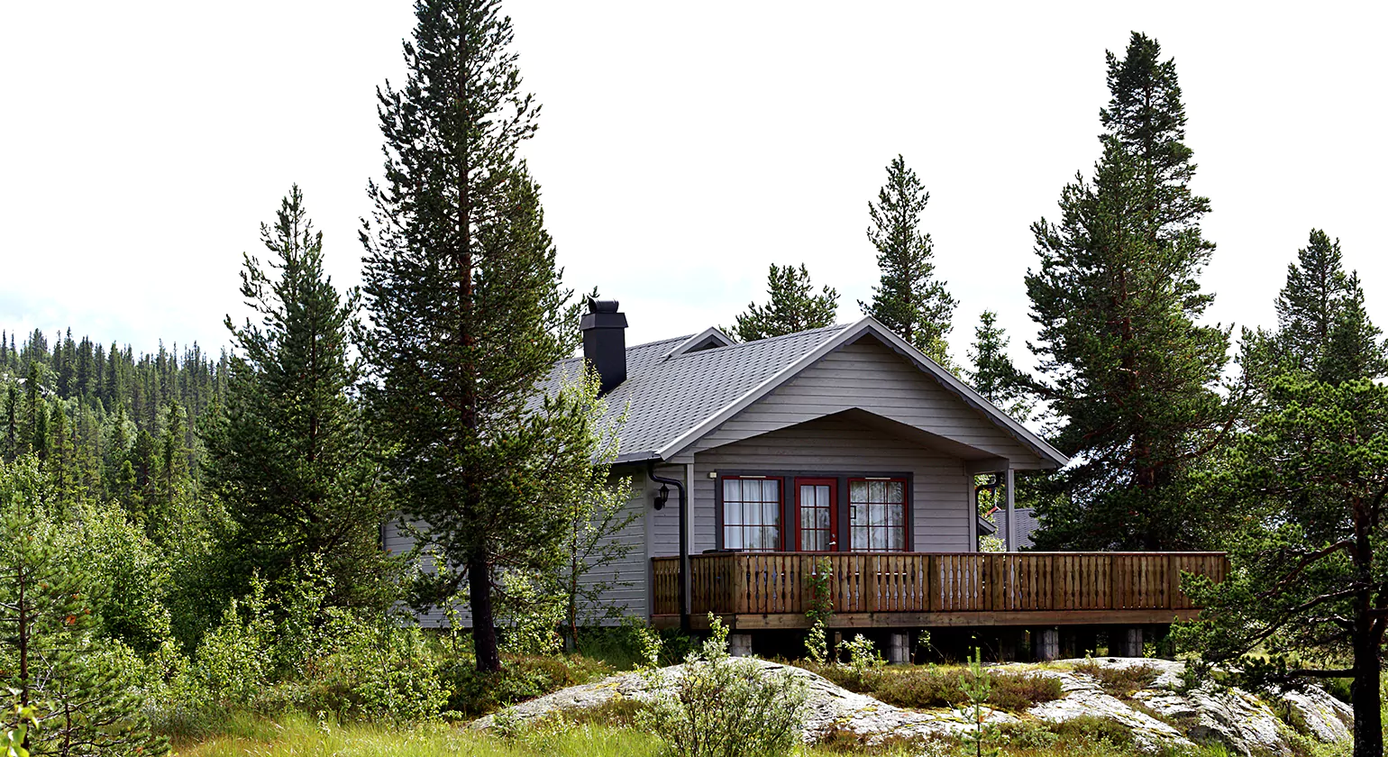 Modern Mountain Cabin Plans for Different Needs