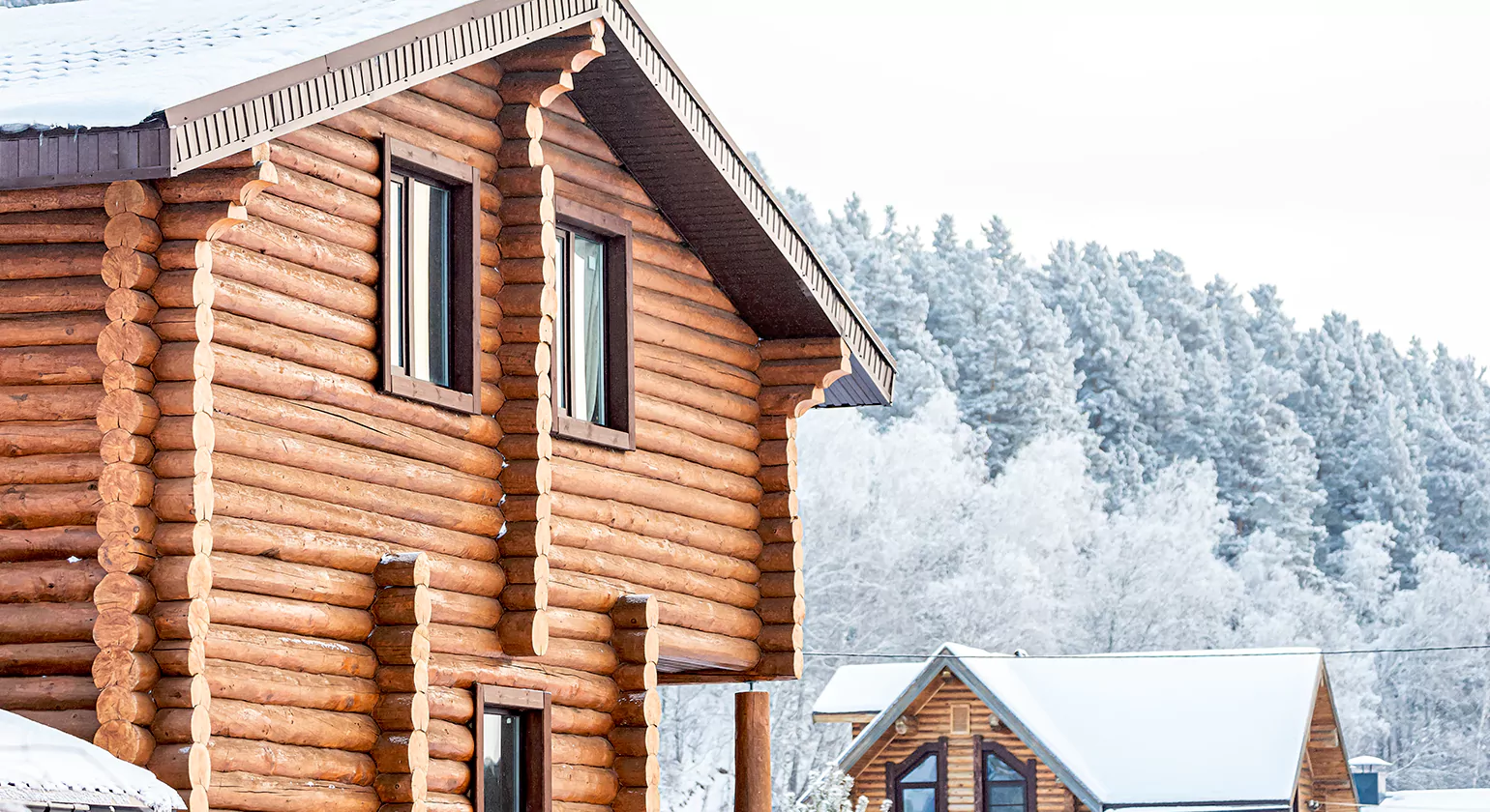 Popular Types of Log Wood Siding