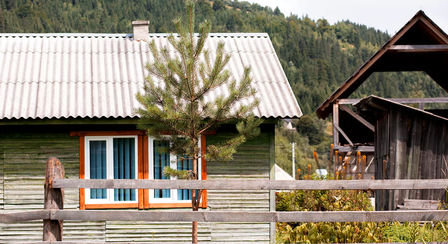 What Makes a Log Cabin White