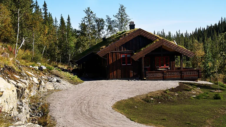 modern mountain cabin plans