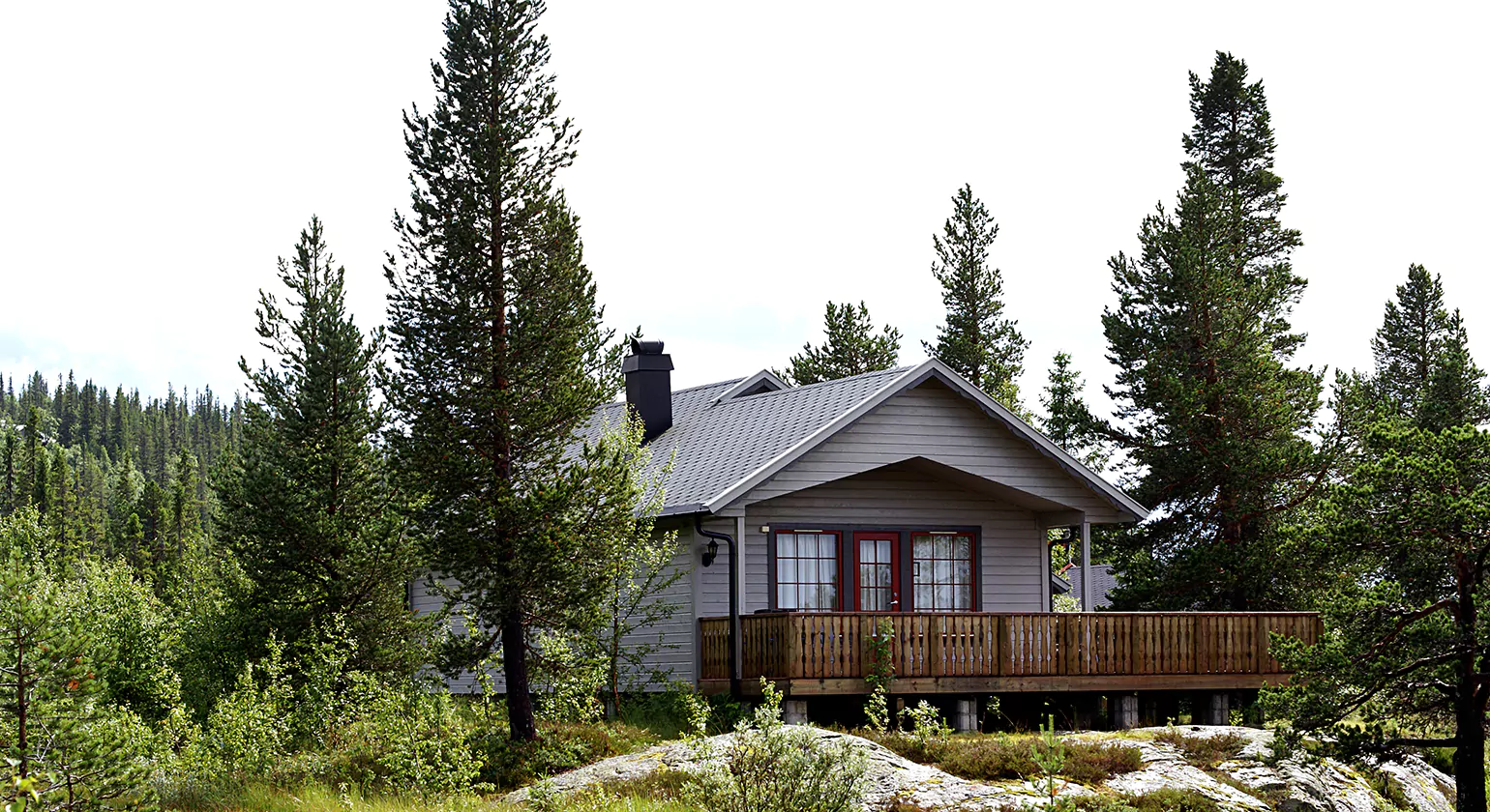 Popular Types of Cabin Loft Plans