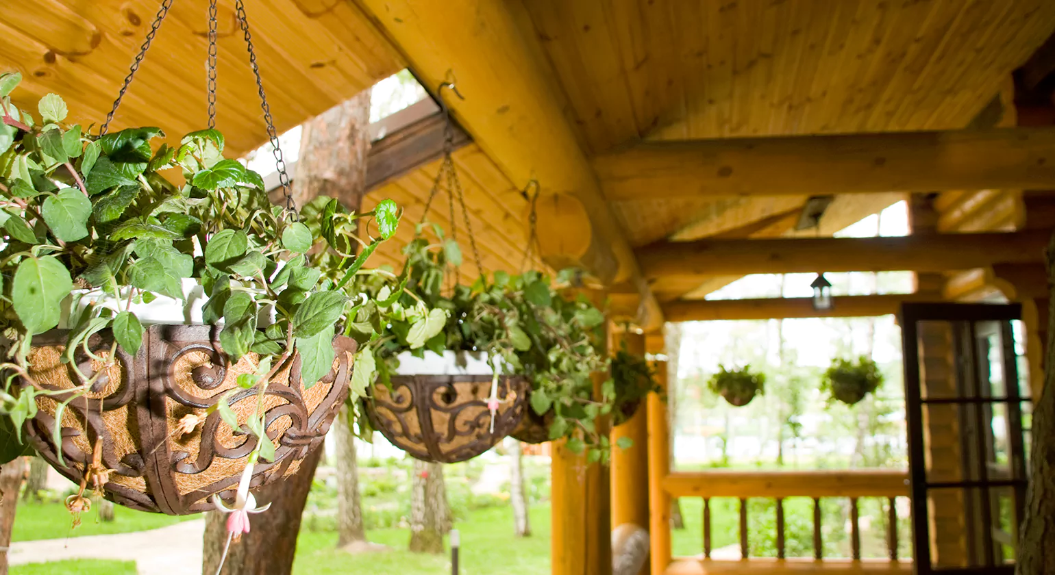 Design Ideas and Inspiration