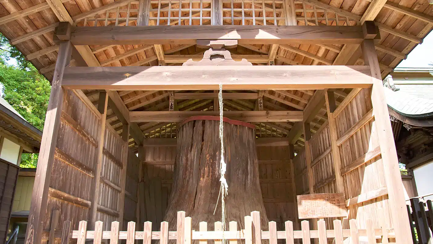 Timber Frame Pavilions