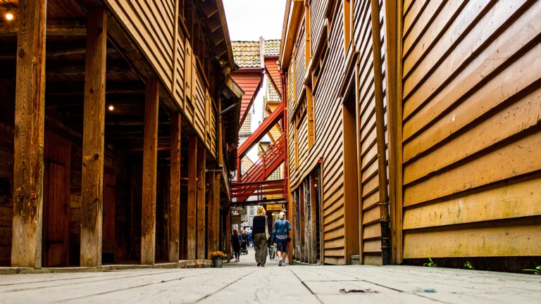 commercial timber frame construction