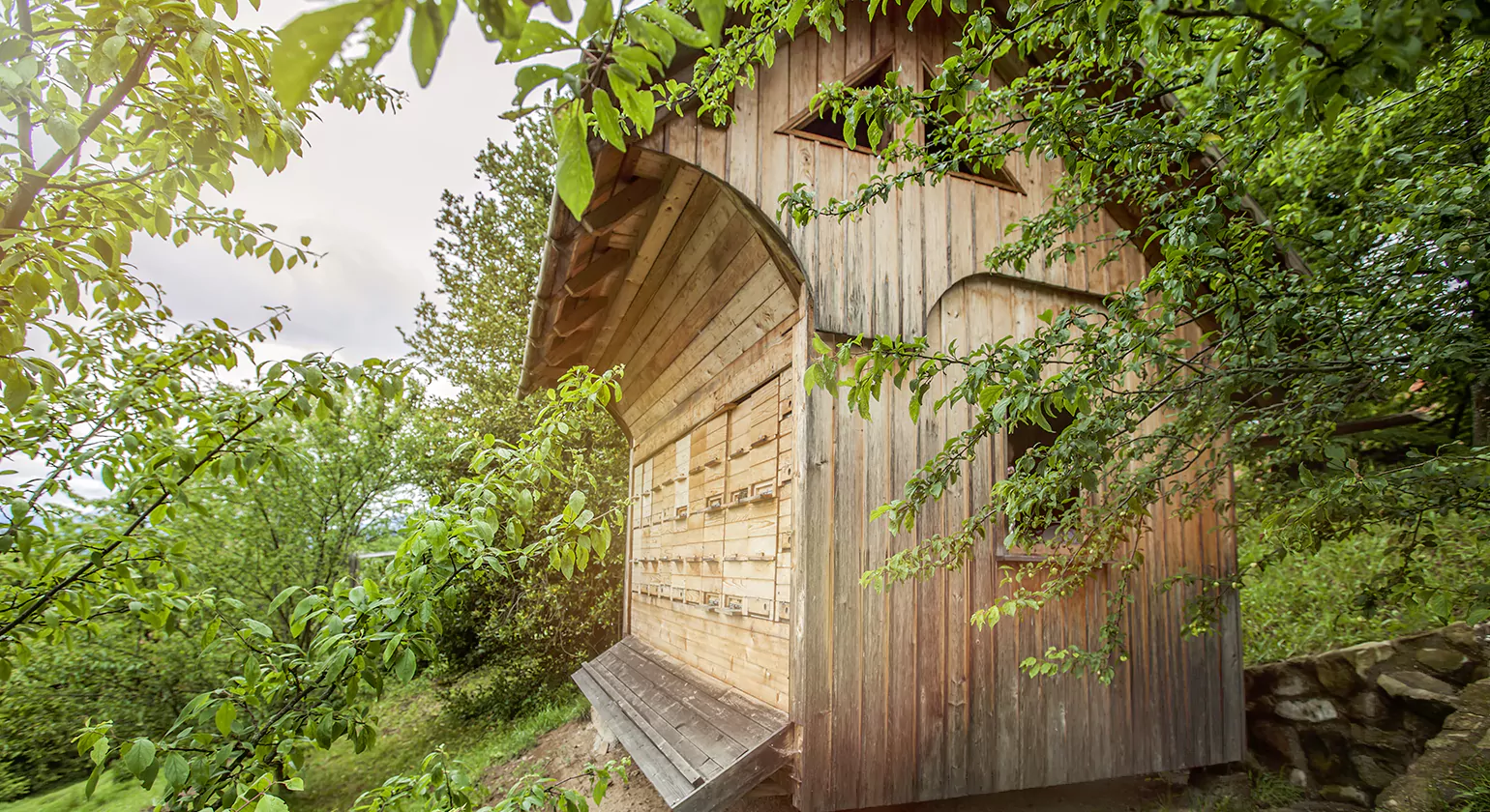 Oak Frame Porch Ideas & Inspiration