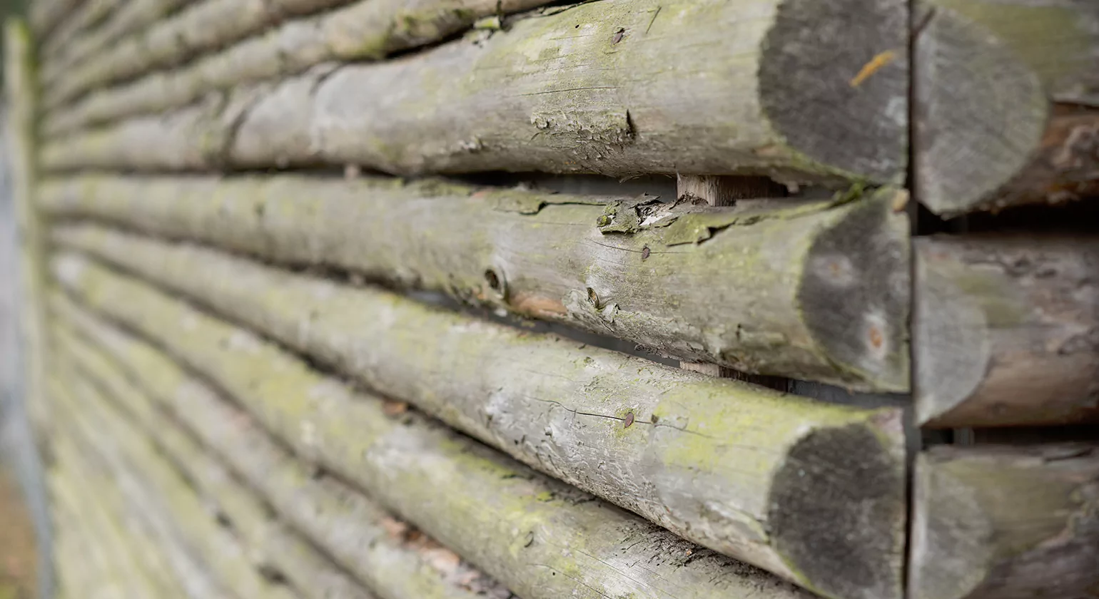 Benefits of Pine Log Siding