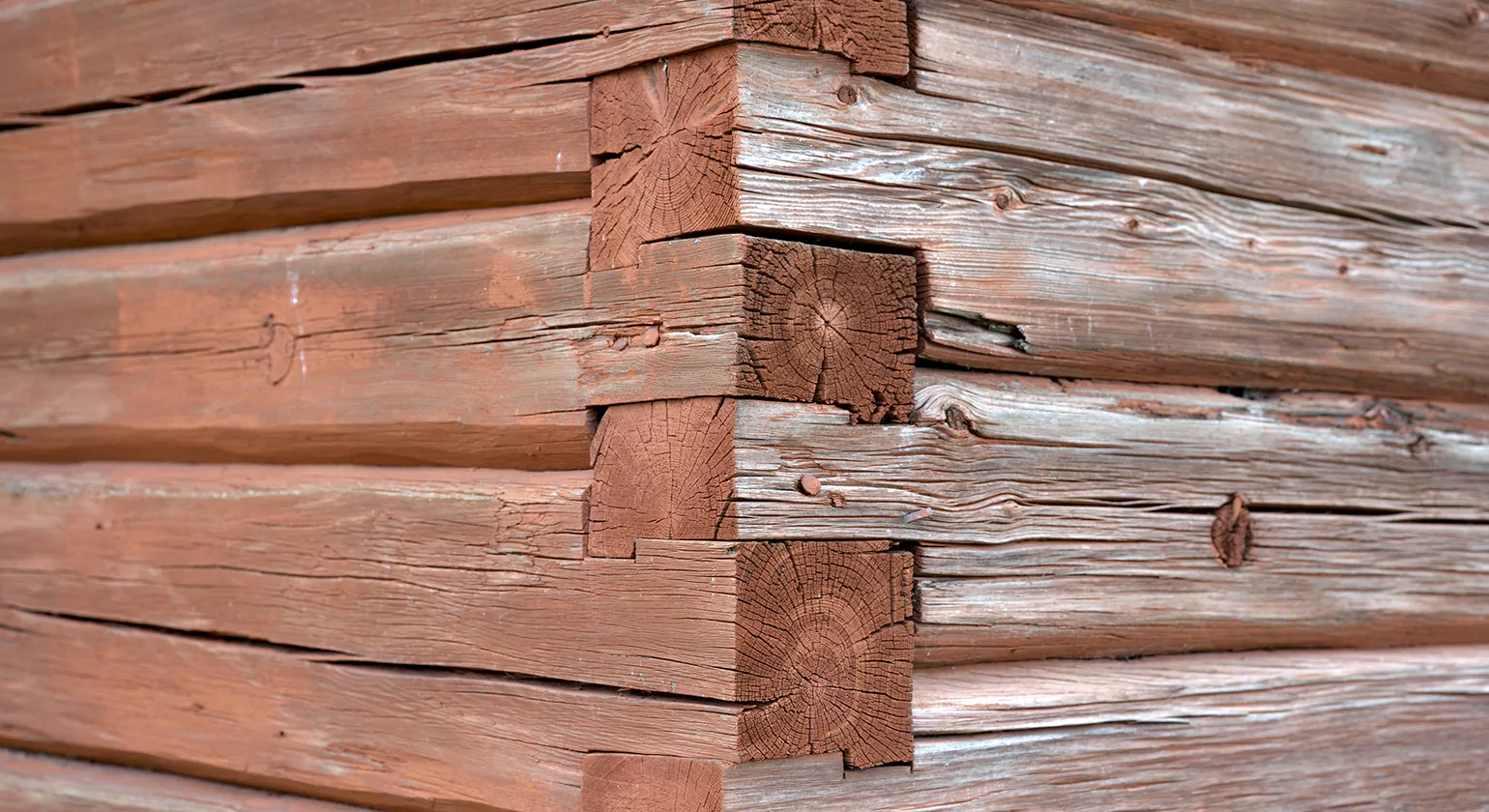 Best Finishes and Treatments for Pine Log Siding