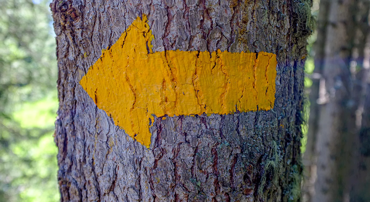 Building Codes and Safety Standards