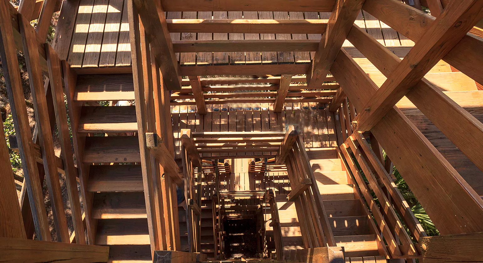 Cost of Timber Frame Beams in 2025