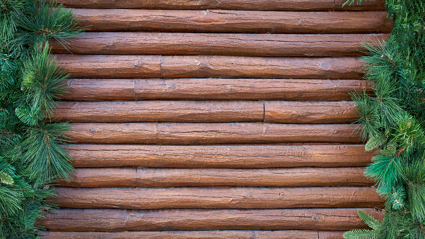 Pine Log Siding