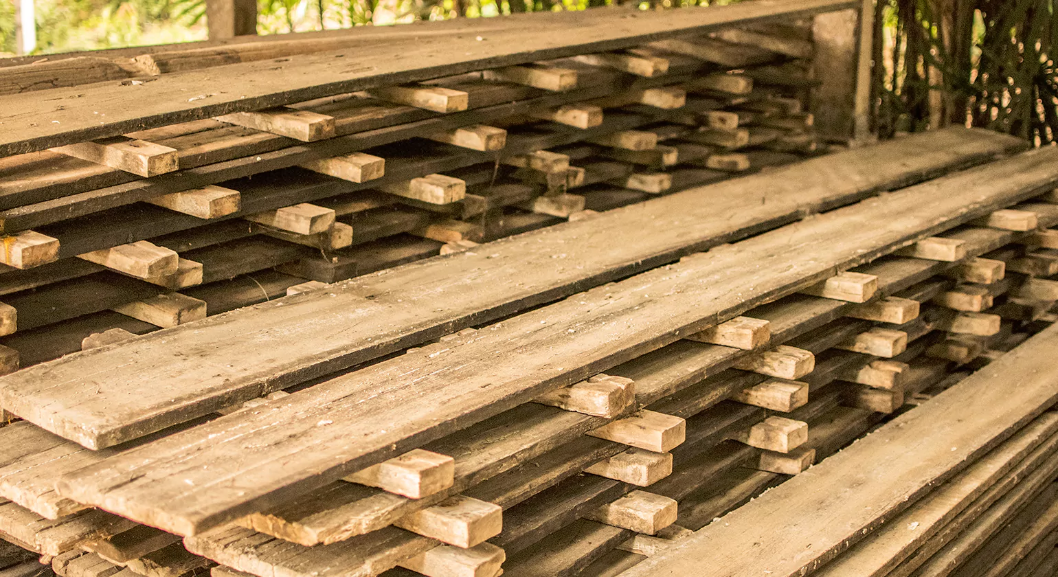 Popular Wood Species for Timber Frame Beams