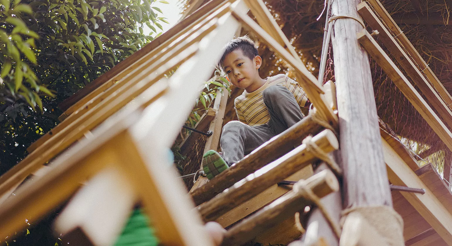 Sustainability & Eco Friendly Advantages