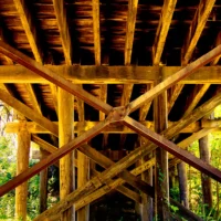 Timber Roof Truss