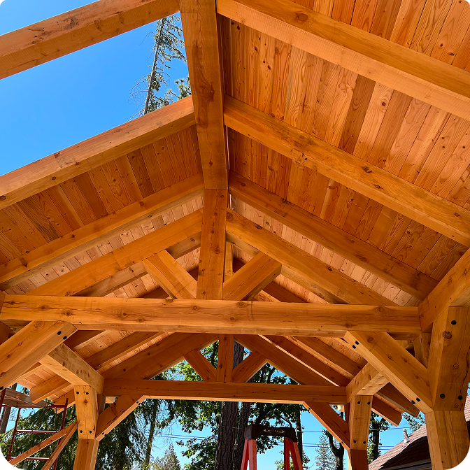 A stunning log cabin made of rich red cedar nestled amonasdg tall pine trees under a clear blue sky.