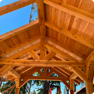 A stunning log cabin made of rich red cedar nestled among tall pine trees under a clear blue sky.
