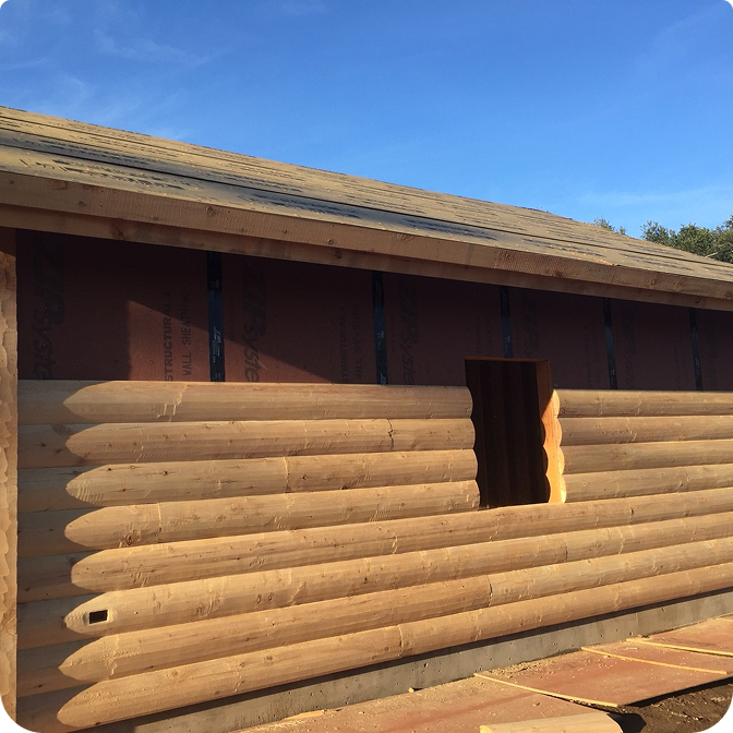 A stunning log cabin made of rich red cedar nestled among tall pine trees under a clear blue sky.