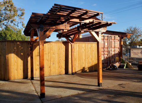 log and timber rafters