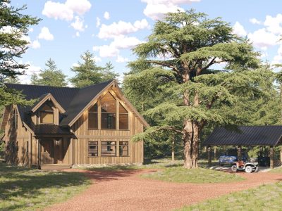 Log home with log shed